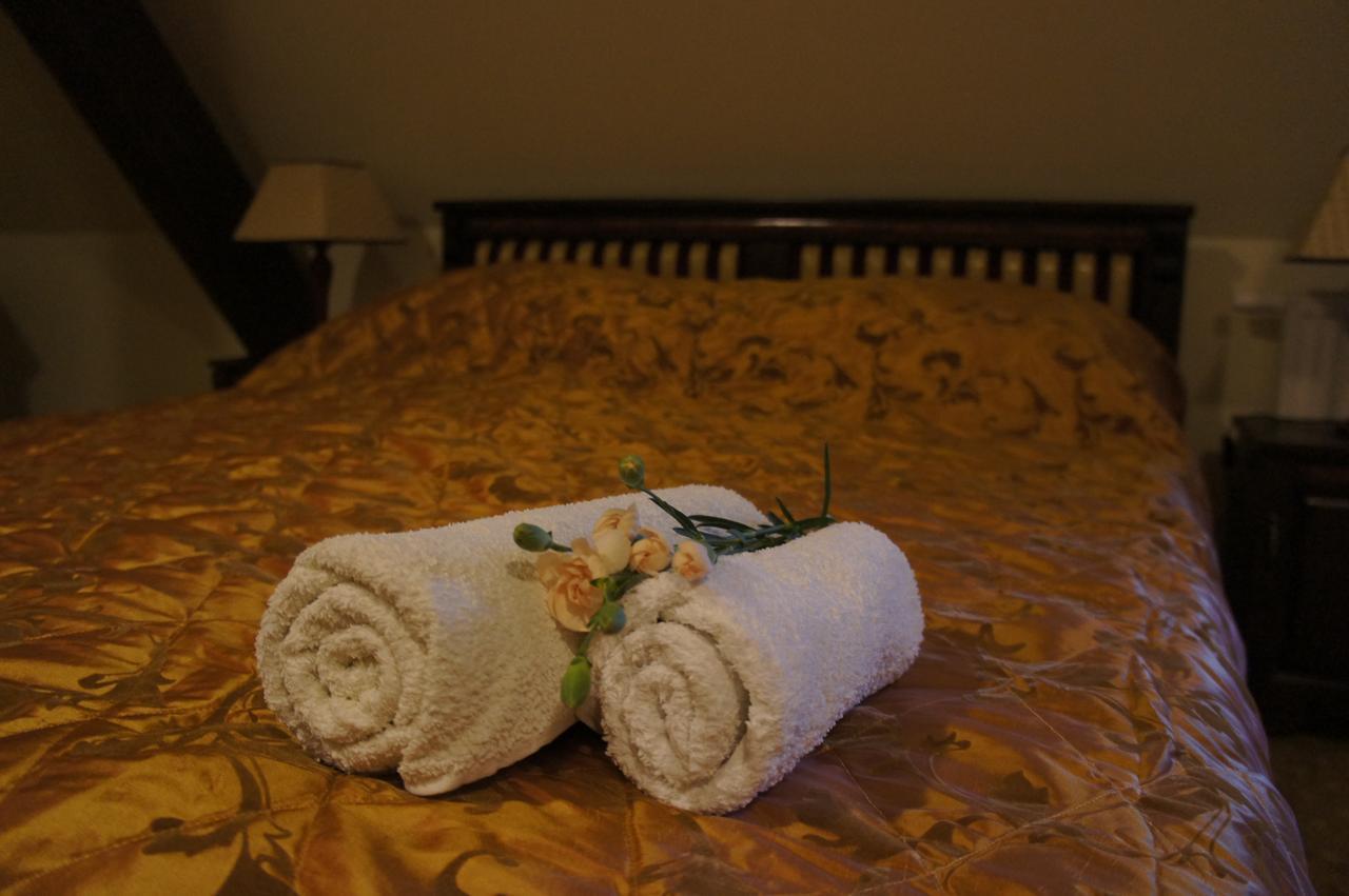 Dworska Elektrownia Hotel Kędzierzyn-Koźle Buitenkant foto